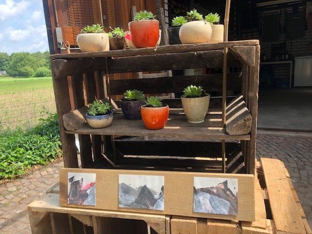 Een houten kist met daarop potplanten met vetplanten; daaronder drie kleine schilderijen.