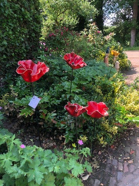 Beelden van klaprozen van rood glas in een tuin, omgeven door groen en bloemen.