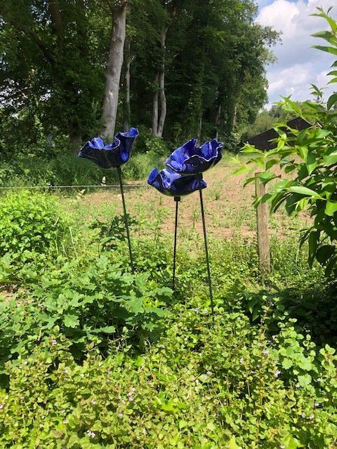 Twee blauwe glazen bloemsculpturen in een groene, met gras begroeide tuin met bomen op de achtergrond.