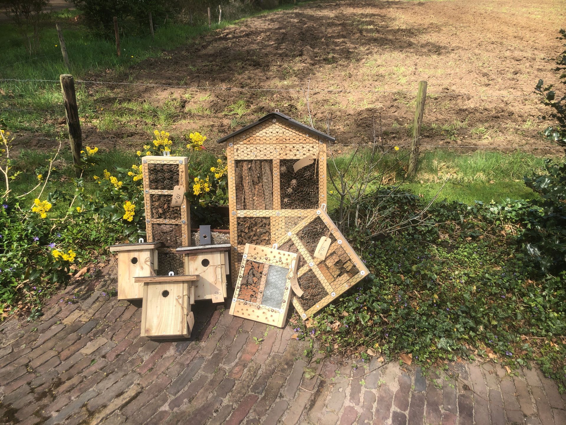 Houten insecten- en vogelhuisjes op een stenen terras met een grasachtergrond.