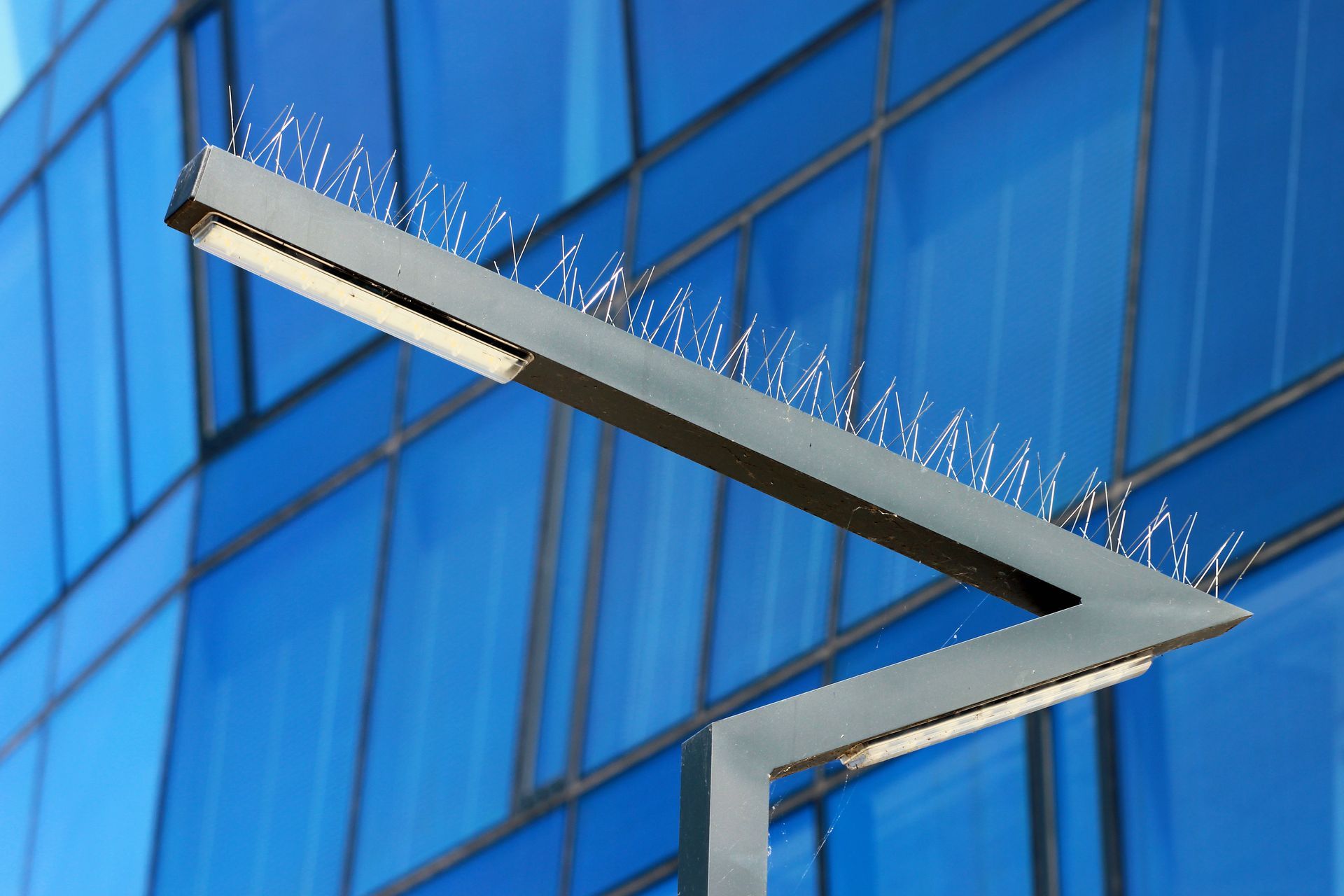 Street Lamplight With Bird Spikes — Hornsby Heights, NSW — Sterling Pest Control Pty Ltd
