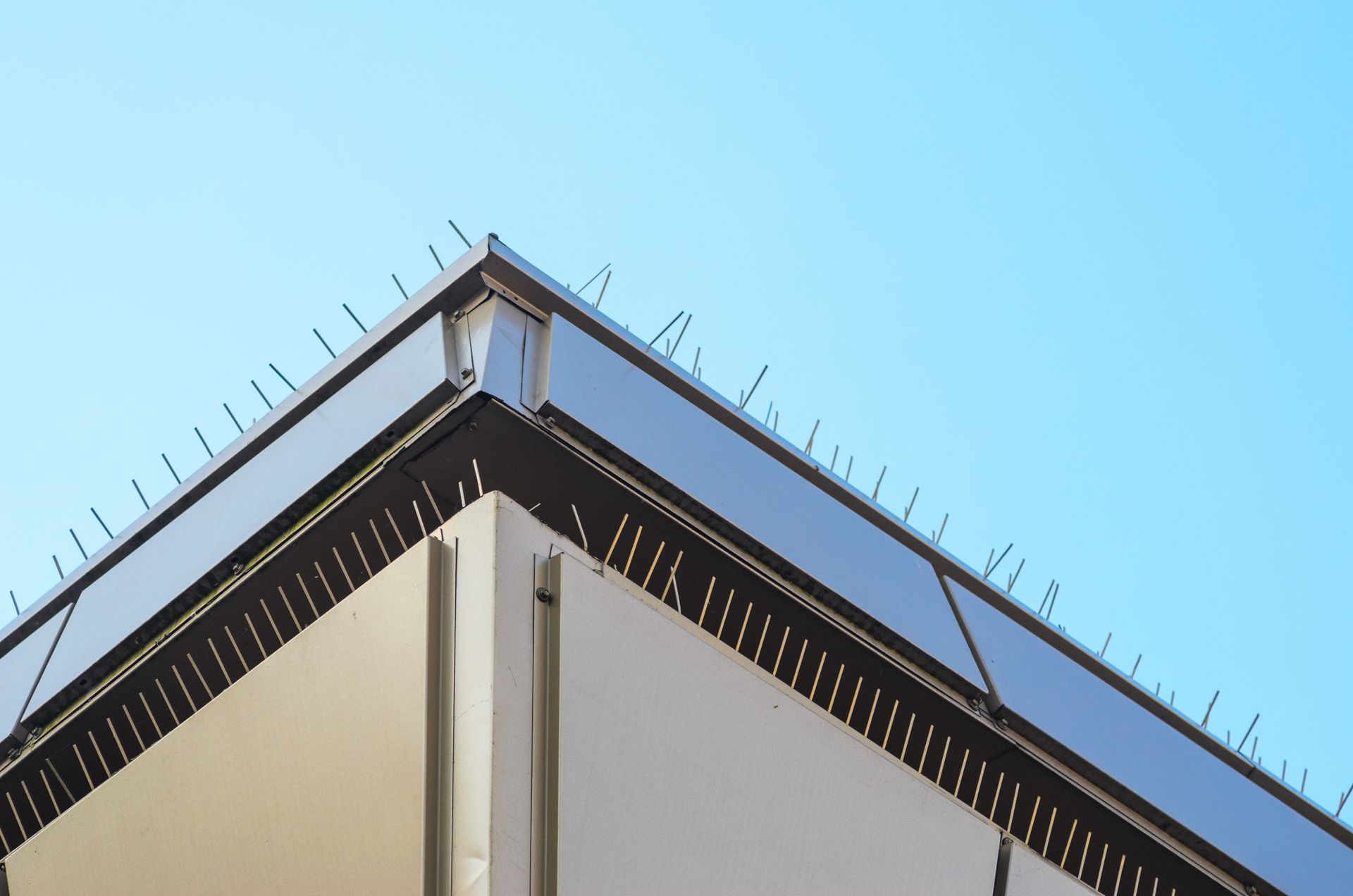 Anti Bird Control Metal Spikes — Hornsby Heights, NSW — Sterling Pest Control Pty Ltd Anti Bird Control Metal Spikes — Hornsby Heights, NSW — Sterling Pest Control Pty Ltd