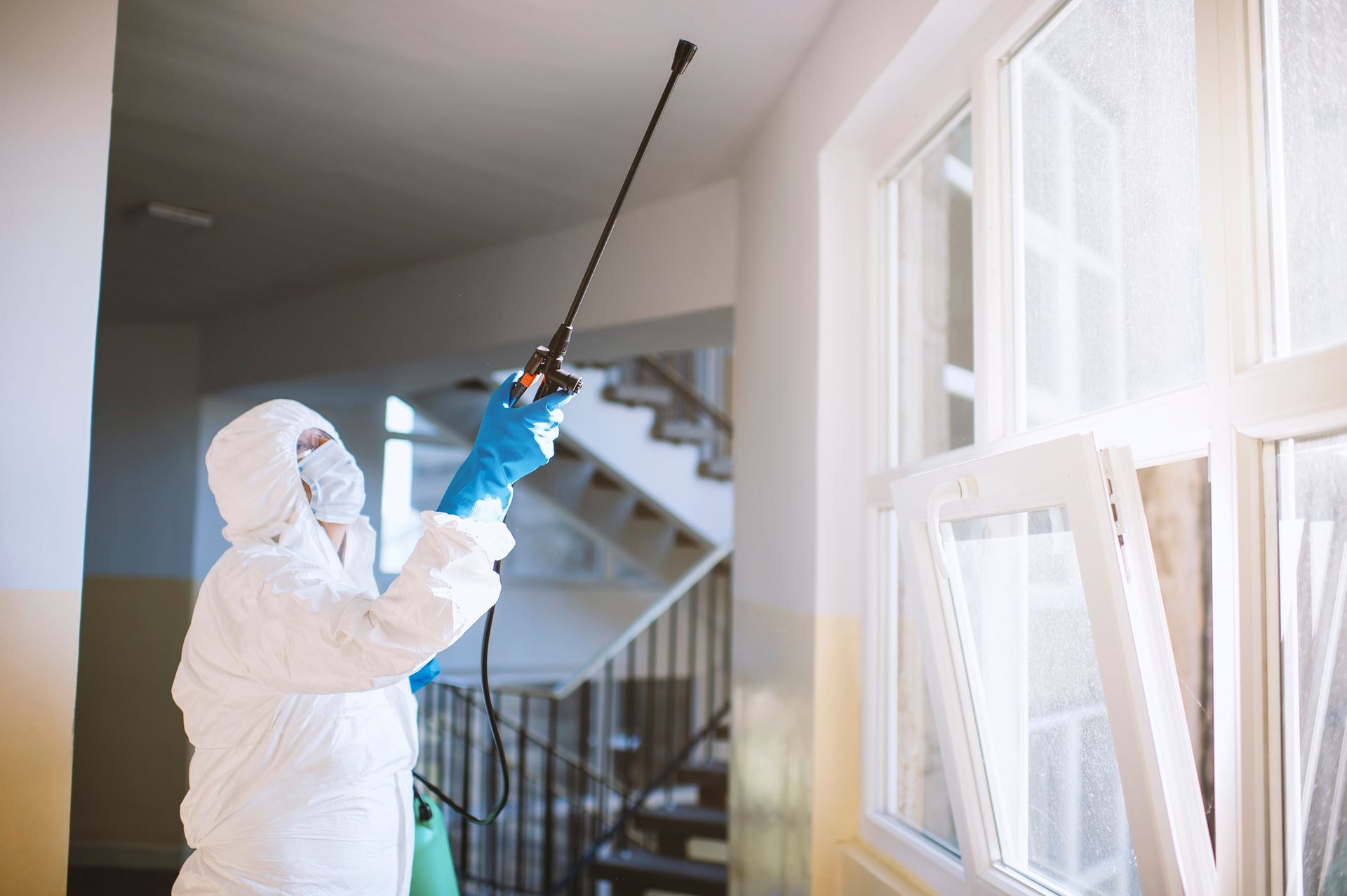 Pest Control Expert — Hornsby Heights, NSW — Sterling Pest Control Pty Ltd