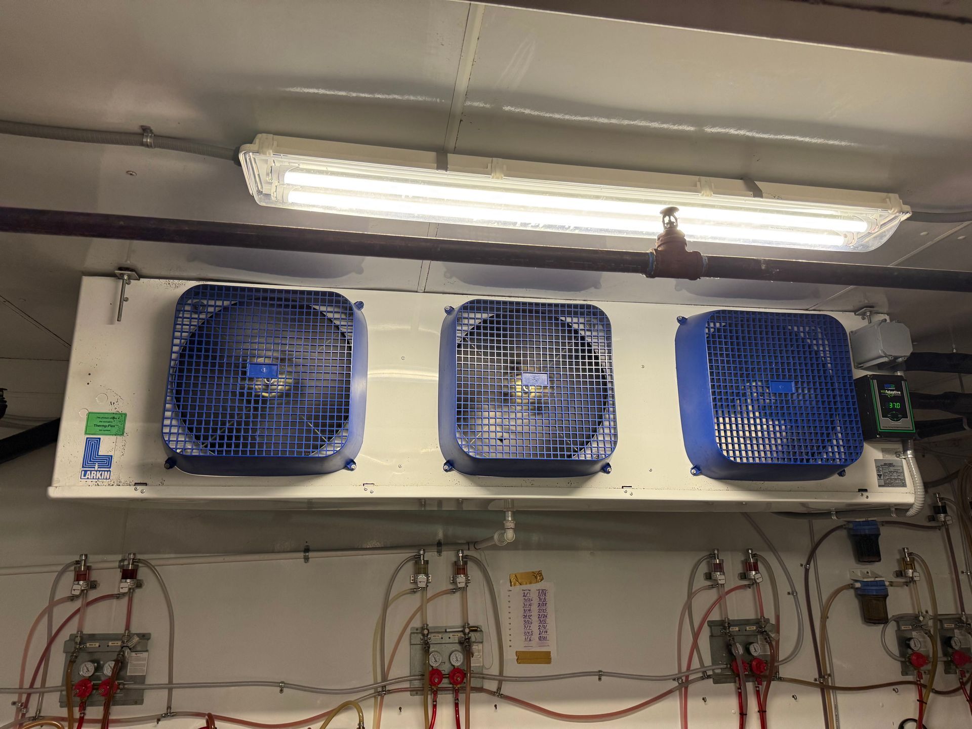 Three blue box fans mounted on a wall under a fluorescent light, above electrical wiring.