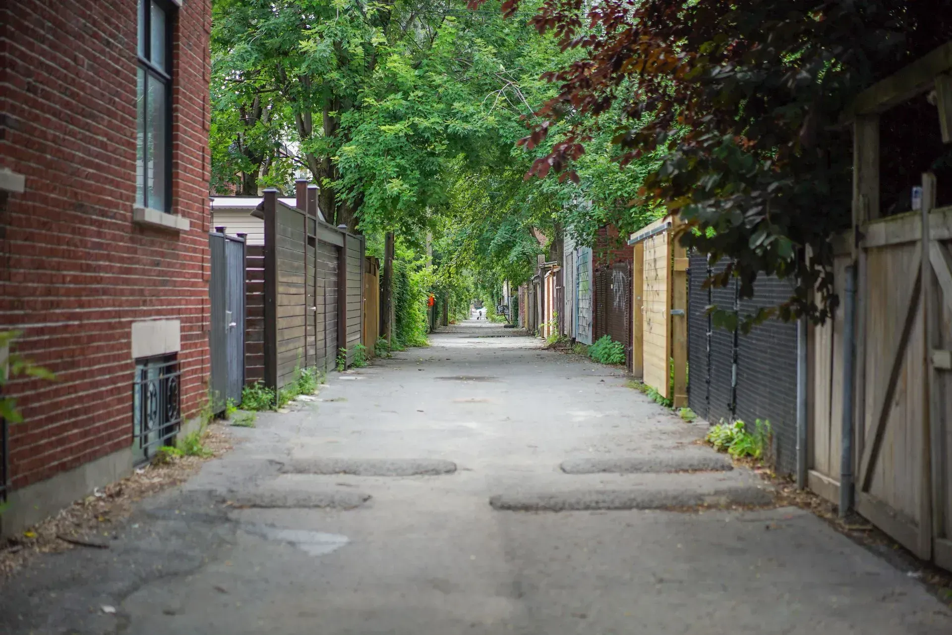 Une ruelle étroite entre deux bâtiments en briques avec des arbres des deux côtés.