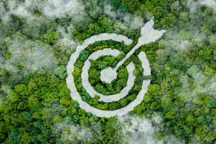 Une vue aérienne d'une cible avec une flèche au milieu d'une forêt.