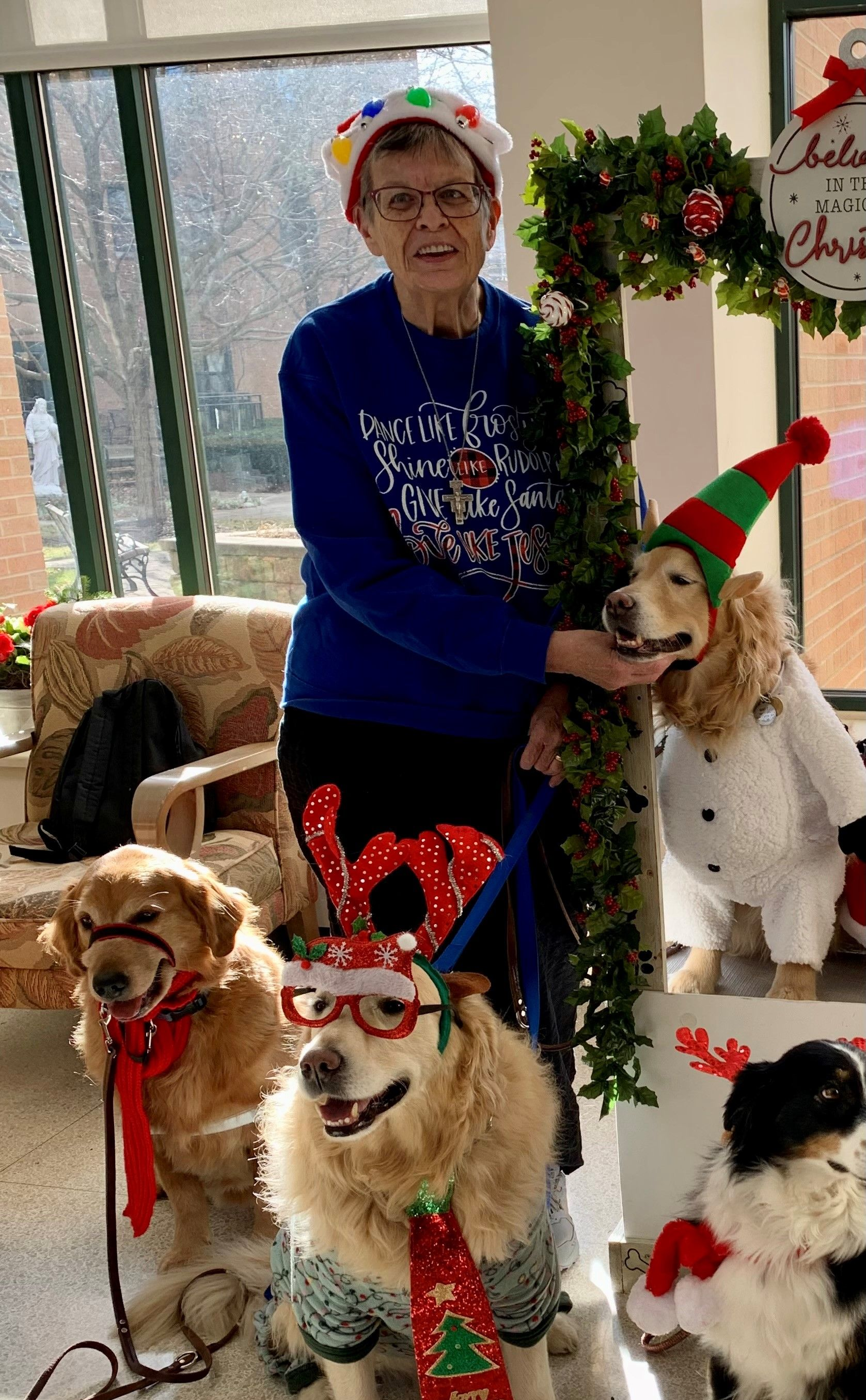 A person wearing a holiday hat stands with four dogs in Christmas costumes, including reindeer antlers and festive hats.