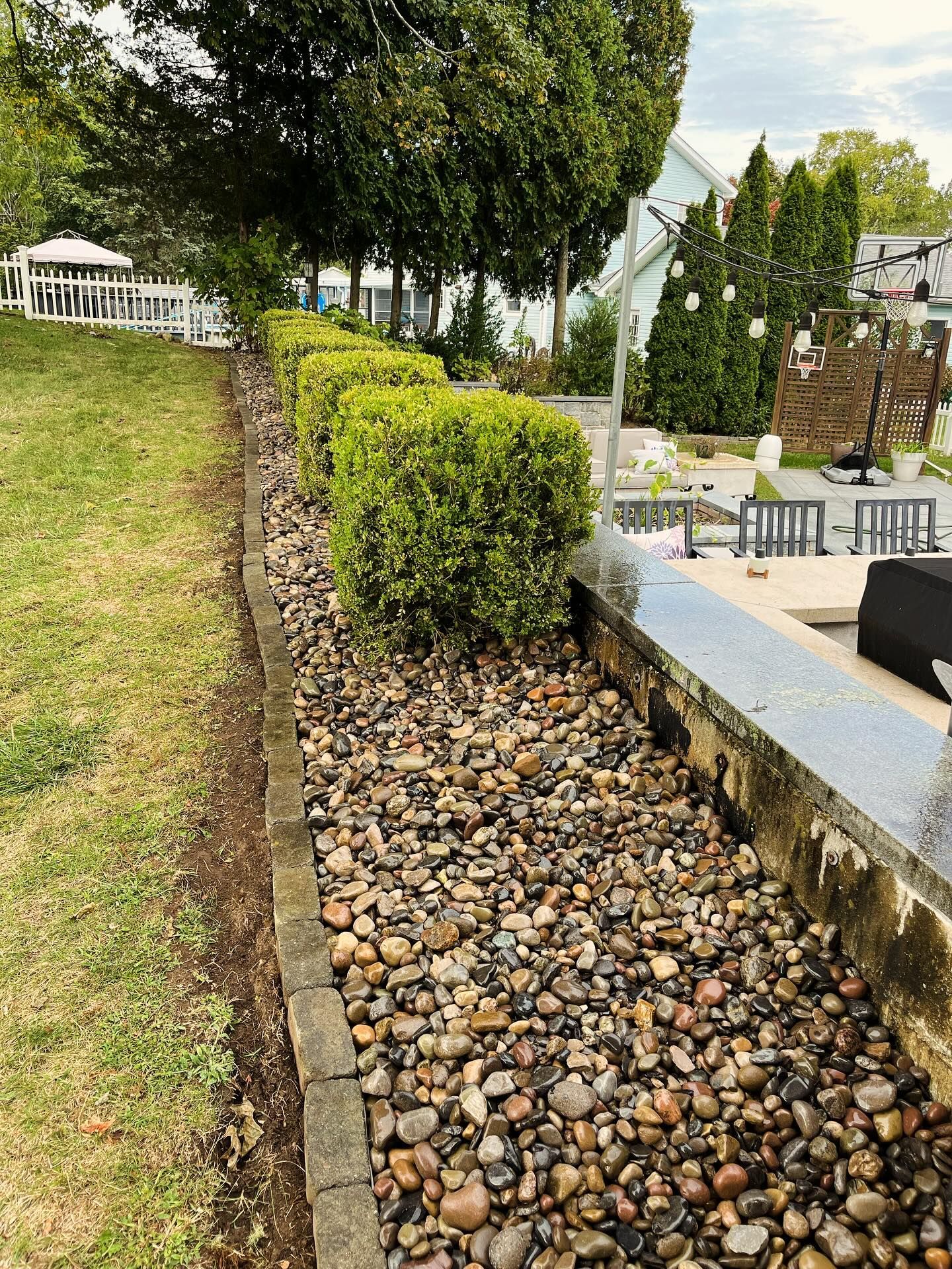 A row of trimmed green bushes along a stone and pebble border next to a patio.