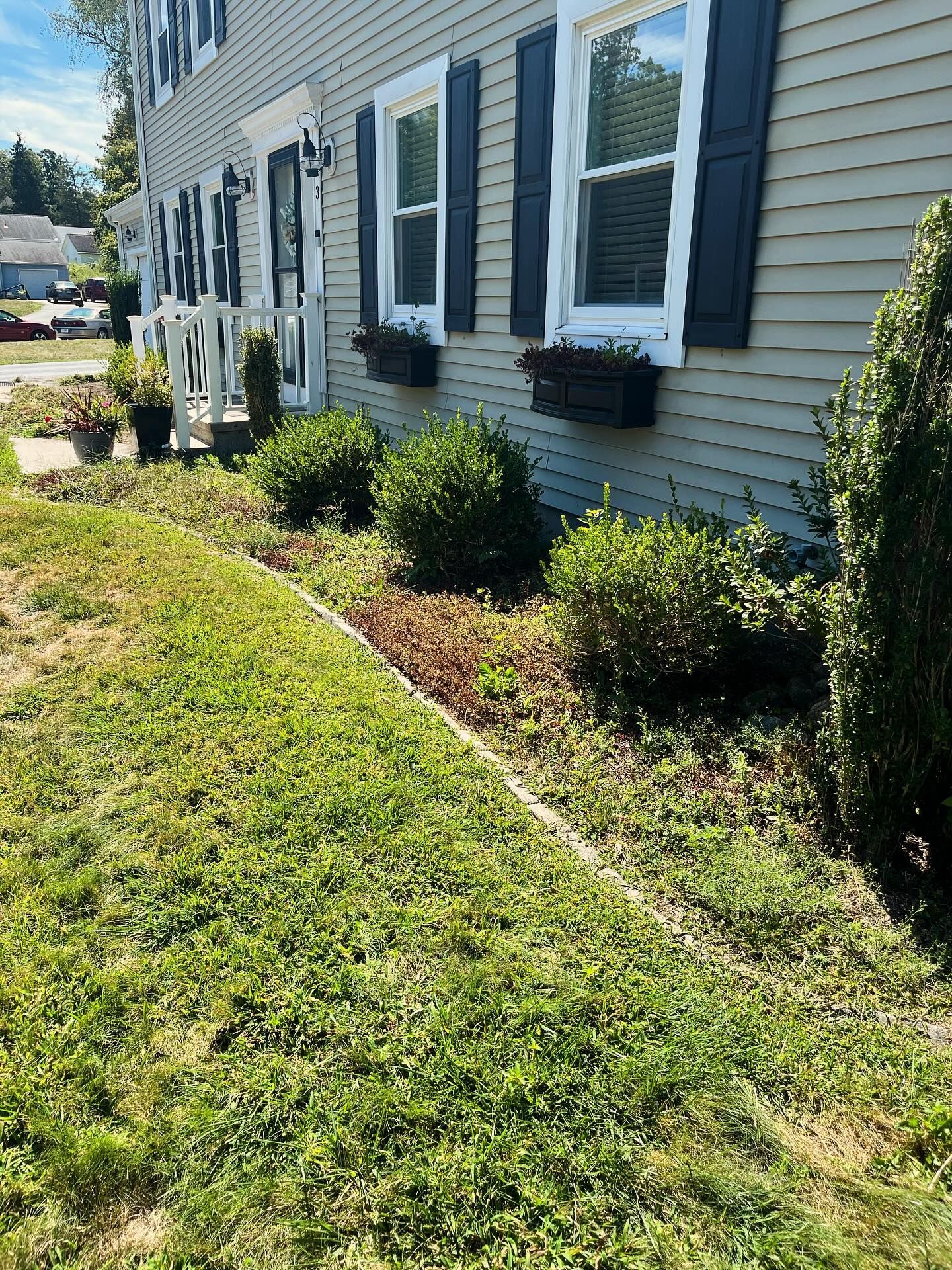 Exterior of a light-colored building with dark shutters and window boxes, featuring a grassy lawn and shrubbery.