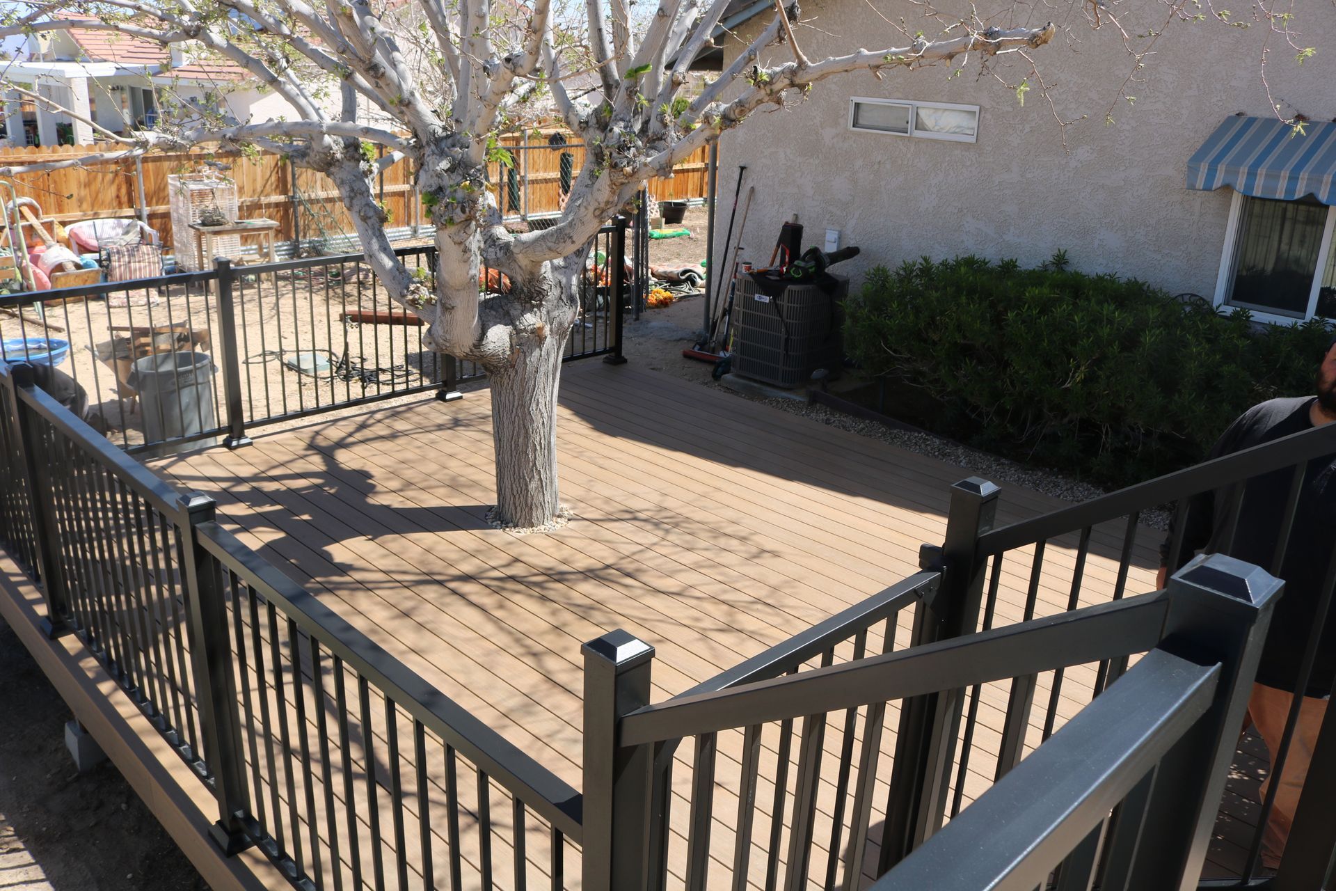 Small courtyard with black metal fencing, a tree, and a bench beside a building.