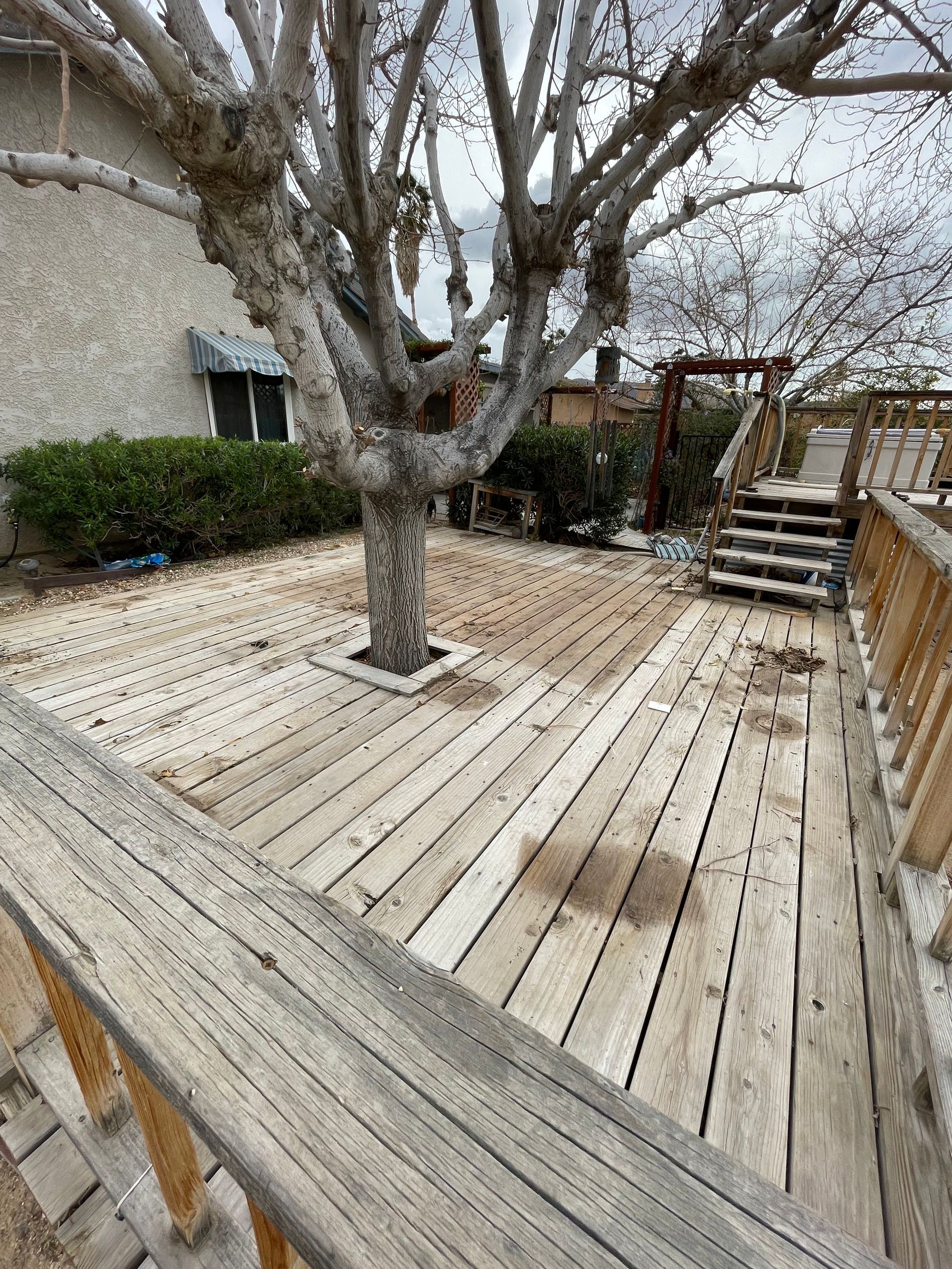 Wooden backyard deck with a tree growing through it, stairs, and a house wall nearby.