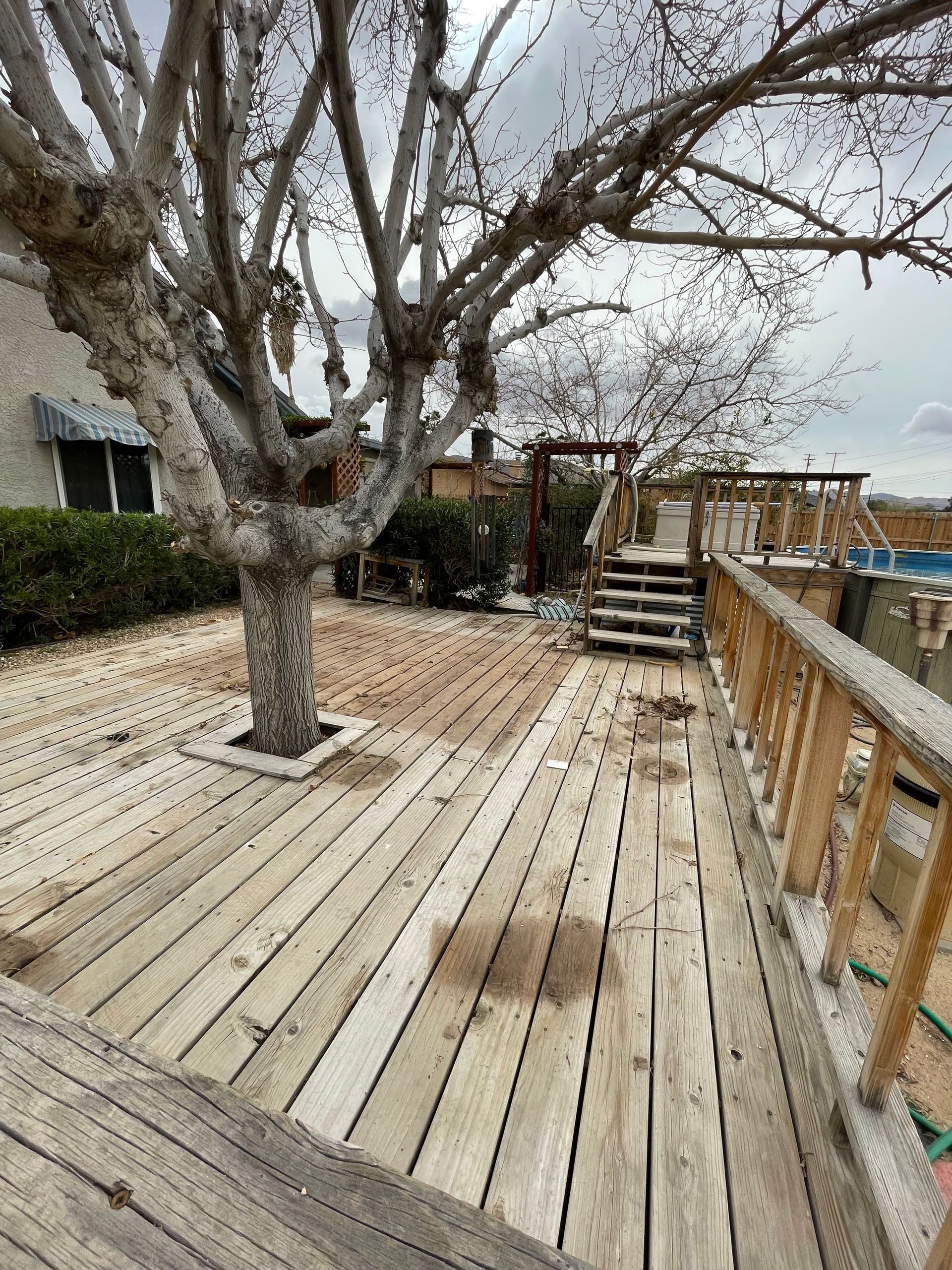 Wooden deck with a bare tree, railing, stairs, and hedge beside a house on an overcast day