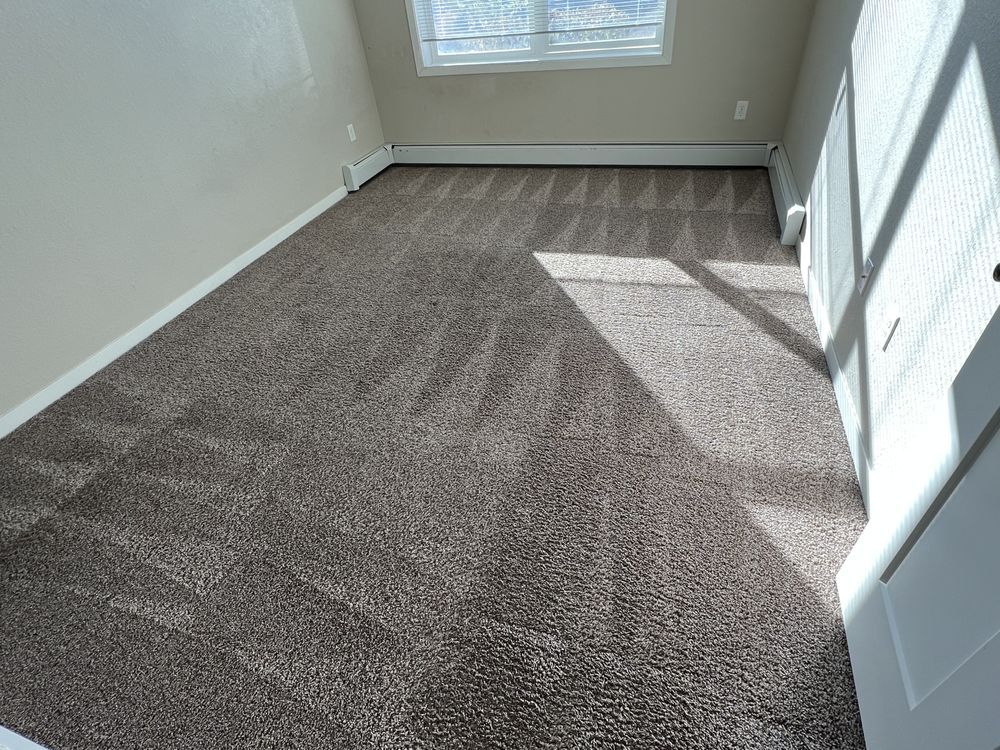 Room with brown carpet, beige walls, a window, and a white door with sunlight streaming in.
