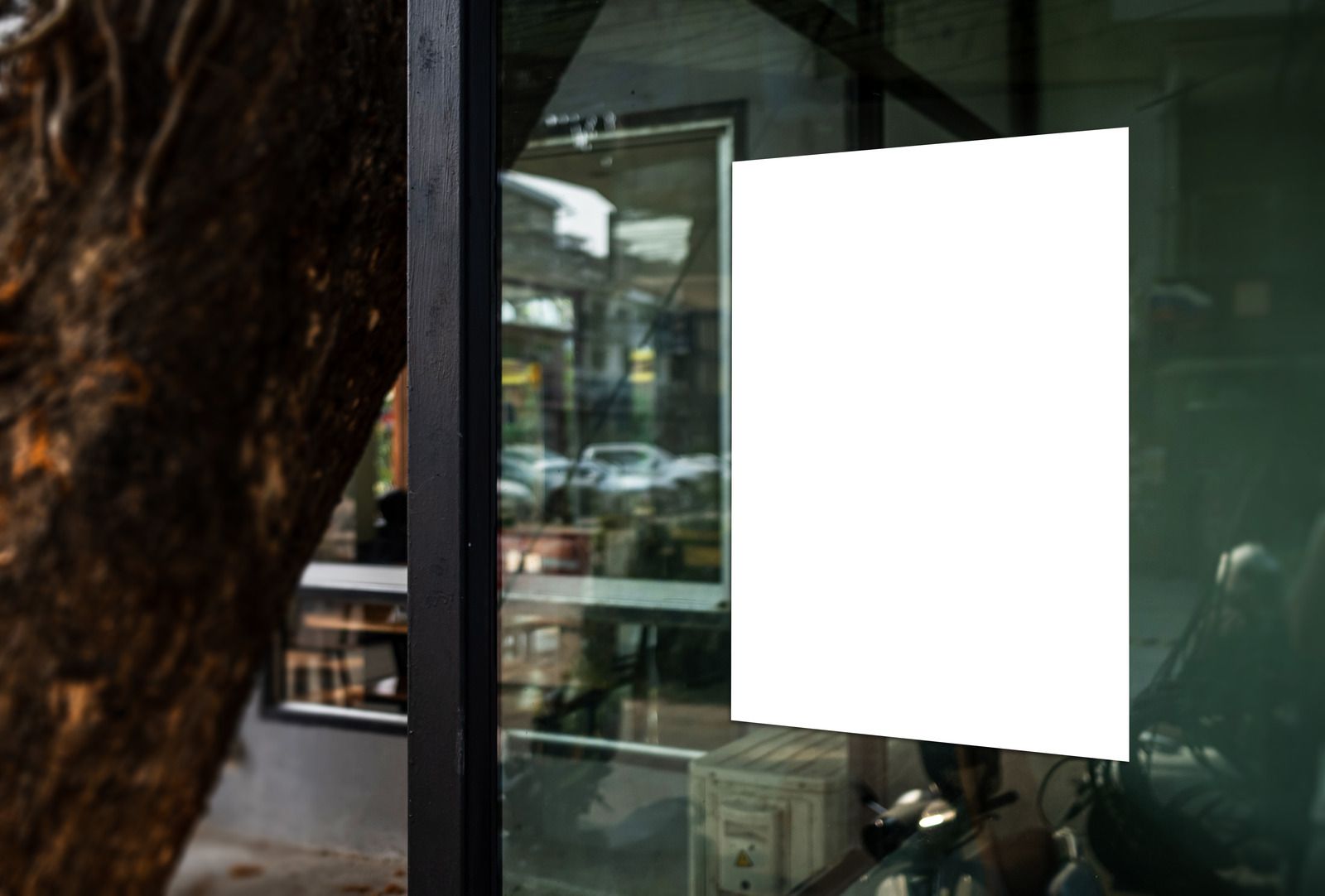 Large white poster on a glass storefront window beside a tree trunk.