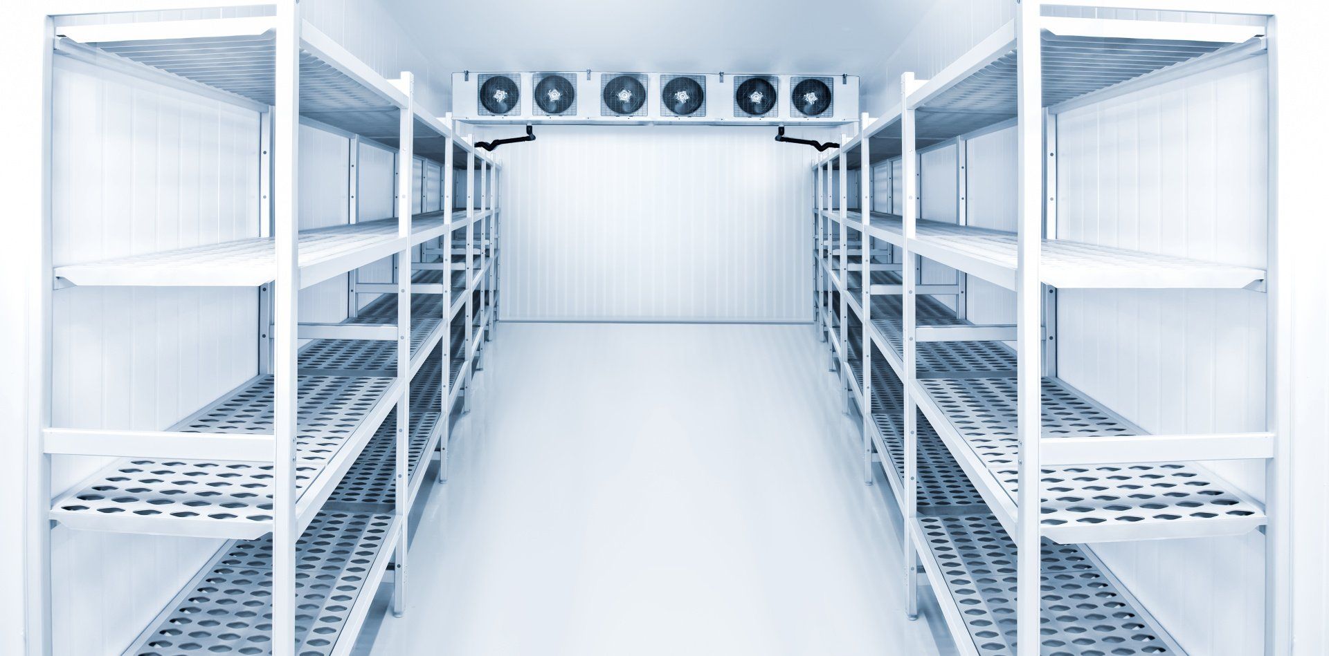 An interior view of a refrigeration chamber designed for food storage.