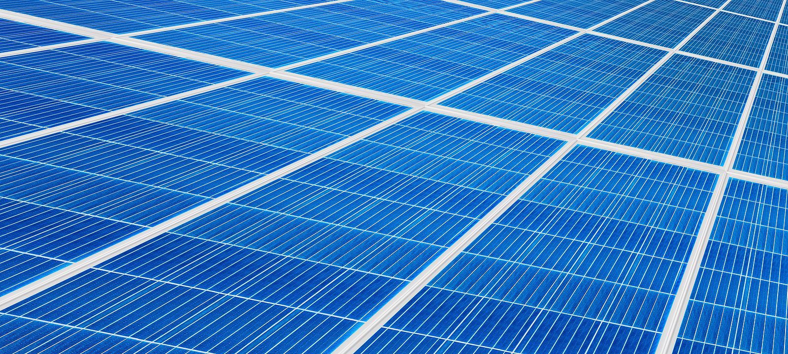 Blue solar panels in a grid, viewed from above