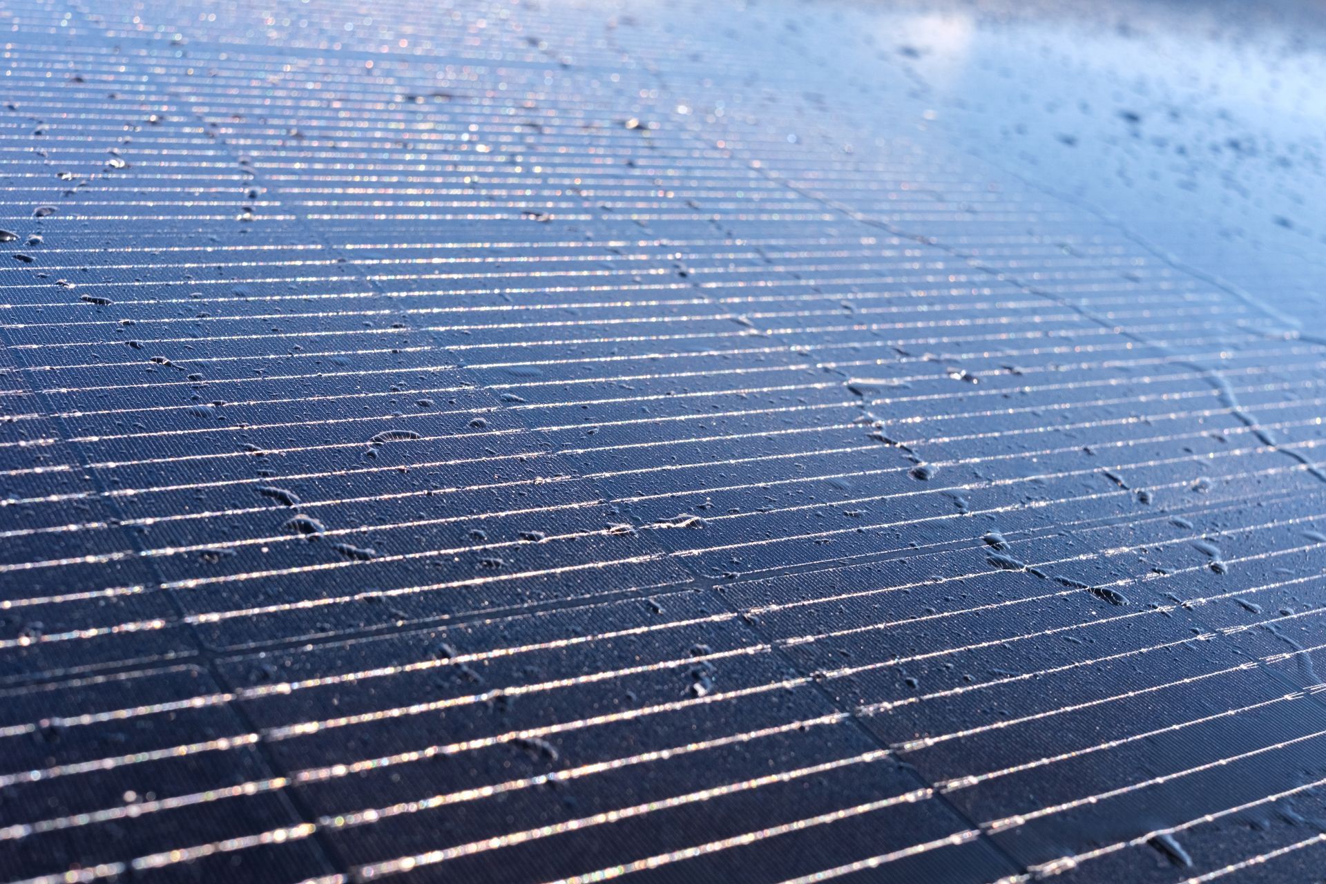 Close-up of blue solar panels with glistening water droplets