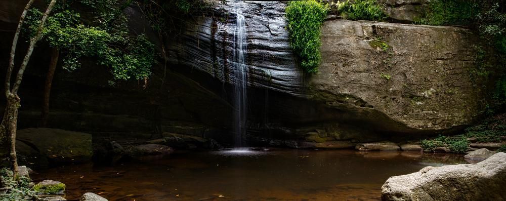 A Waterfall is Surrounded by Rocks and Trees in the Middle of a Forest — Coastal Auto Doors & Gates In Buderim, QLD