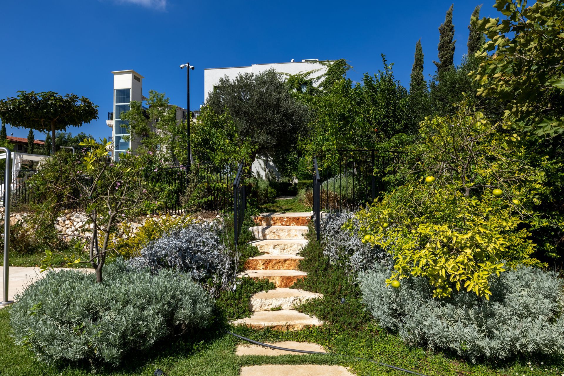 Stone steps lead up through a lush garden with trees, bushes, and a white building in the background.