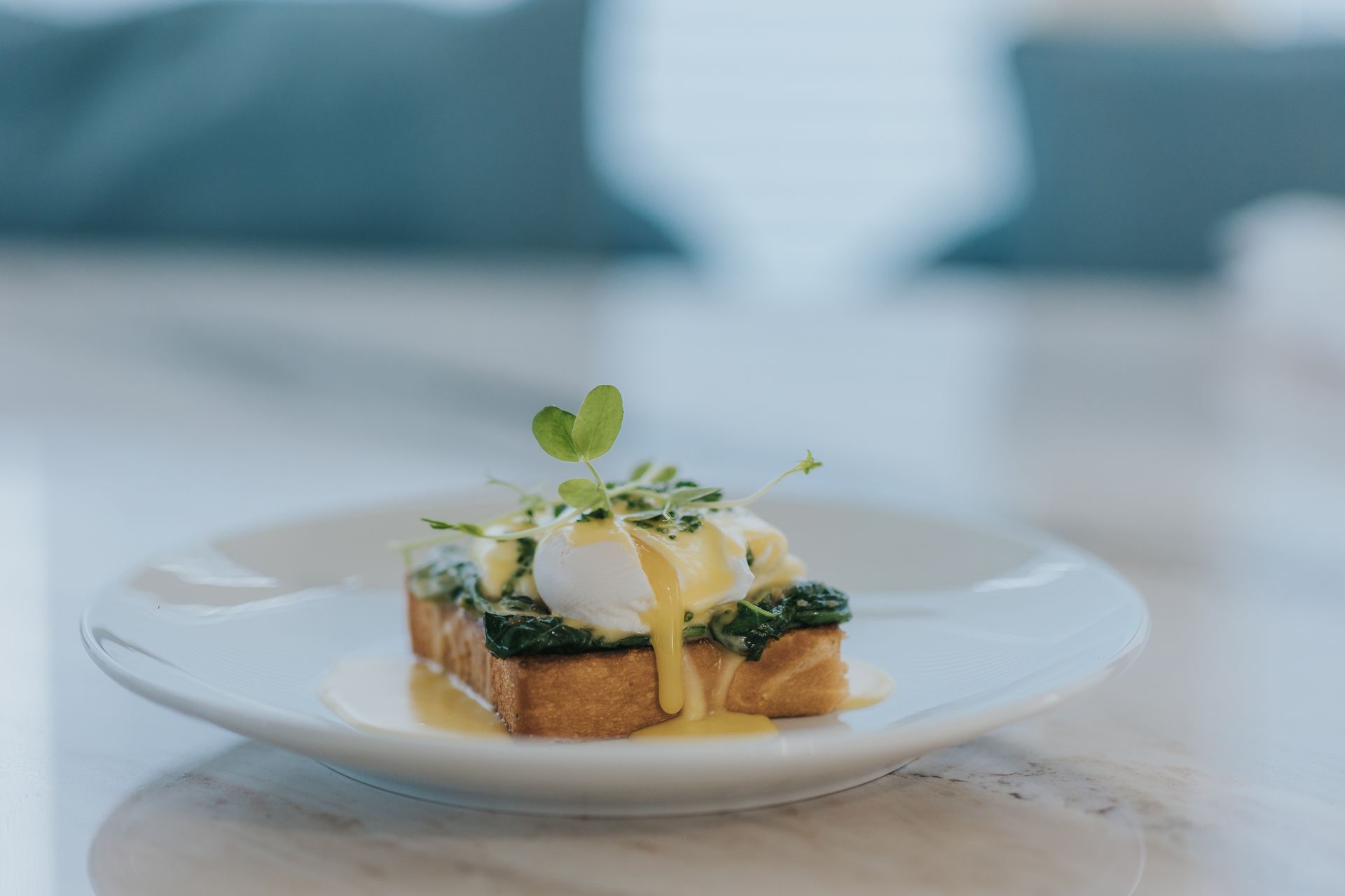 Eggs Benedict on toast, garnished with microgreens, on a white plate.