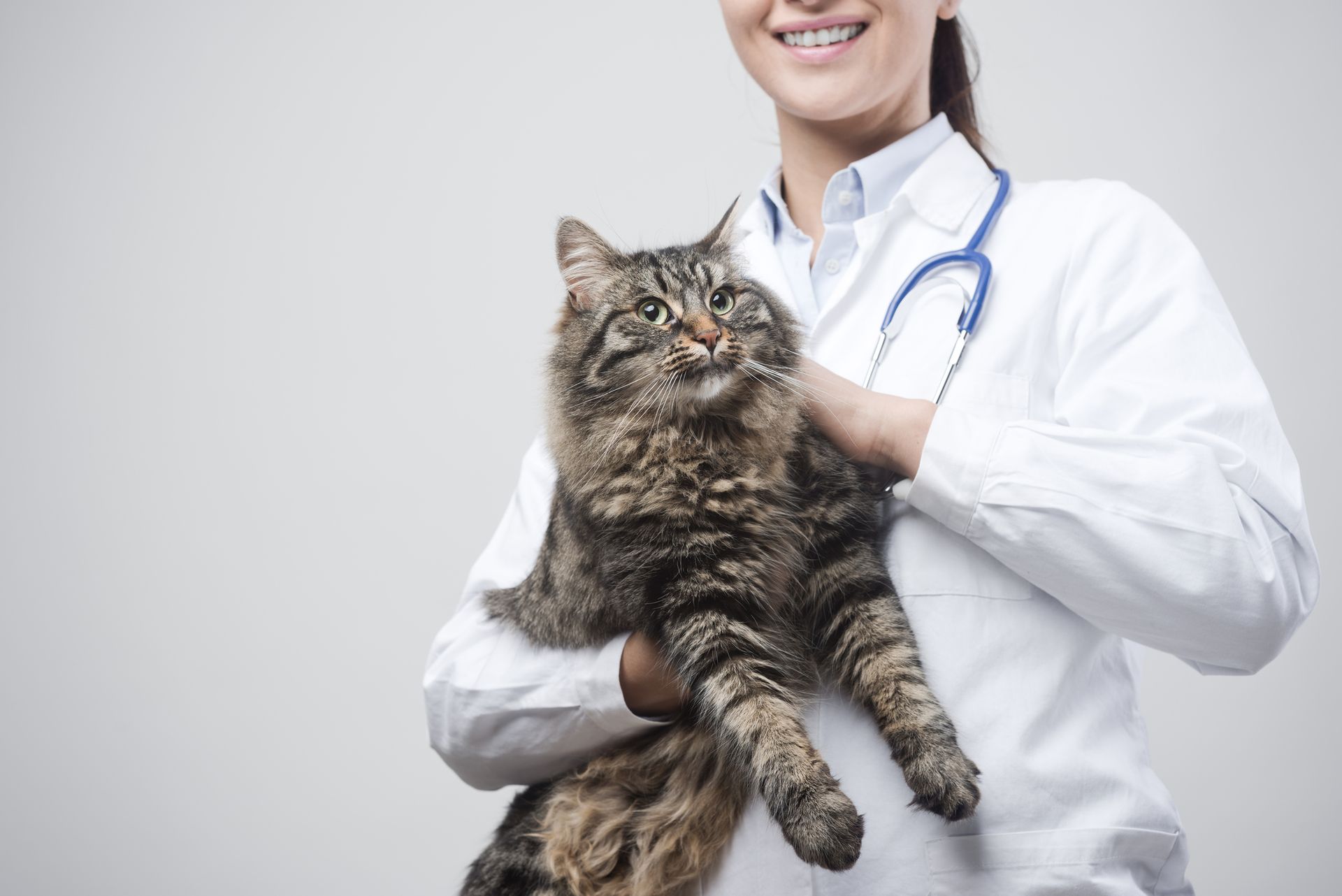 Pet Medication Administration in Dover, DE Pet Medication Administration in Dover, DE