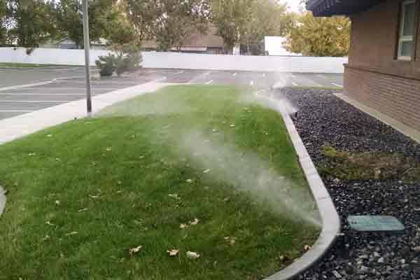 A lawn sprinkler is spraying water on a lush green lawn.