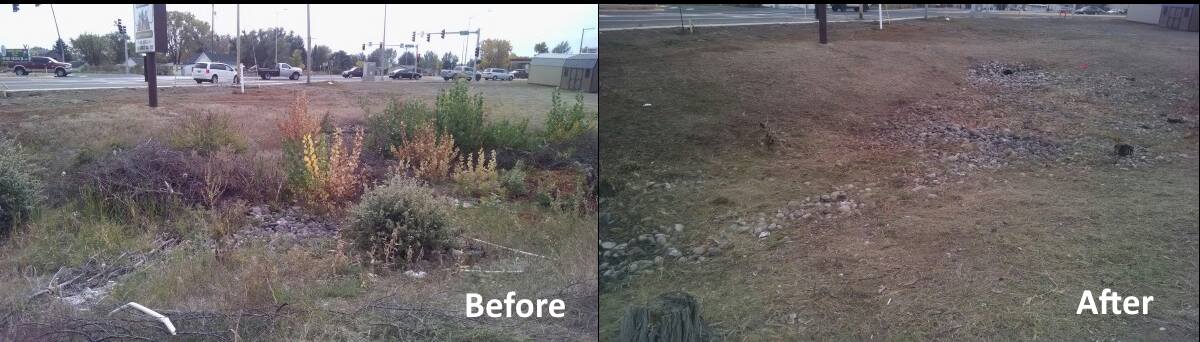 A before and after picture of a grassy field