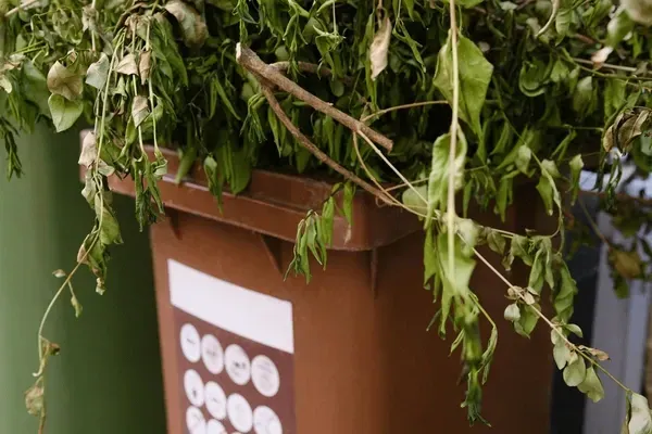 Brown planter overflowing with green foliage and small white flowers on a signposted stand