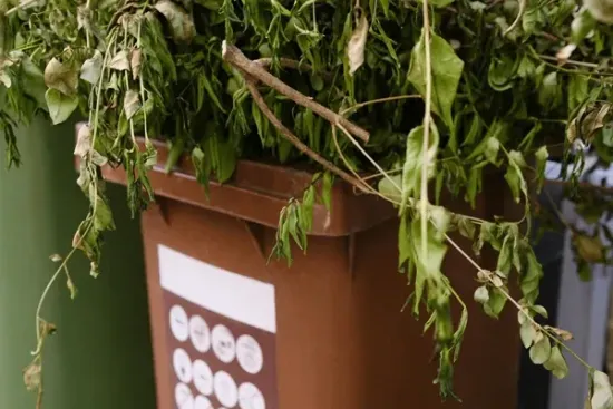 Brown planter overflowing with green hanging plants and a white label on the front