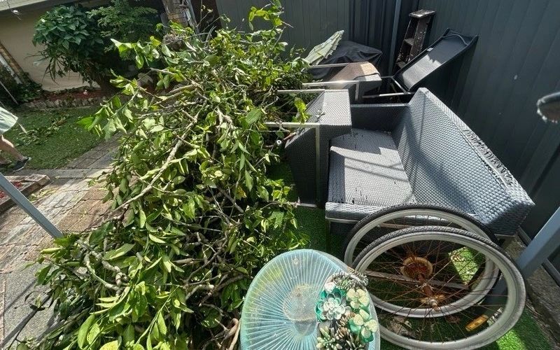 Overgrown plants spilling over a balcony beside a wicker chair and metal planters