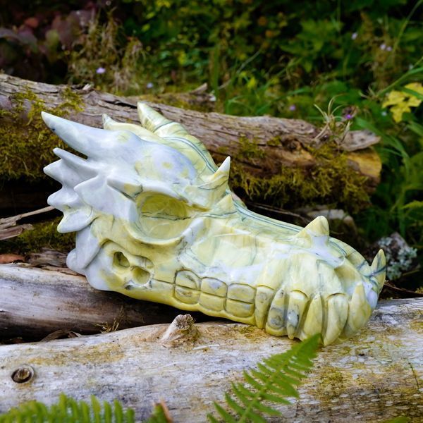 Lo La Sa Dragon Skull with Alphedia