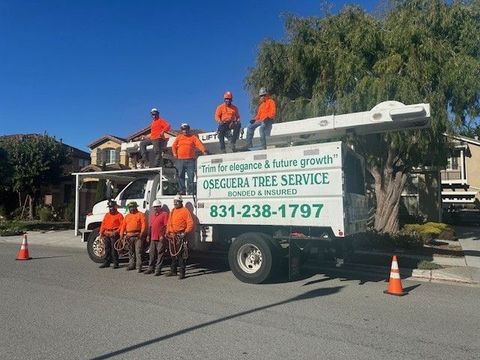 Tree service truck trimming a hedge next to a road, under a cloudy sky.