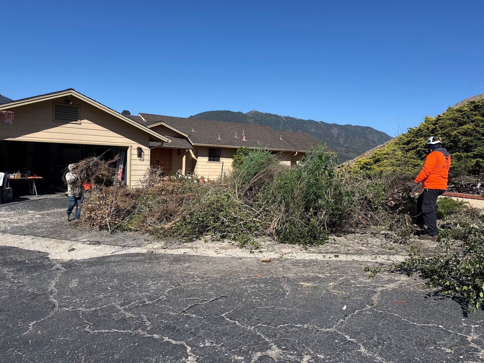 Workers clear fallen tree branches from a driveway in front of a house with mountains in the background.