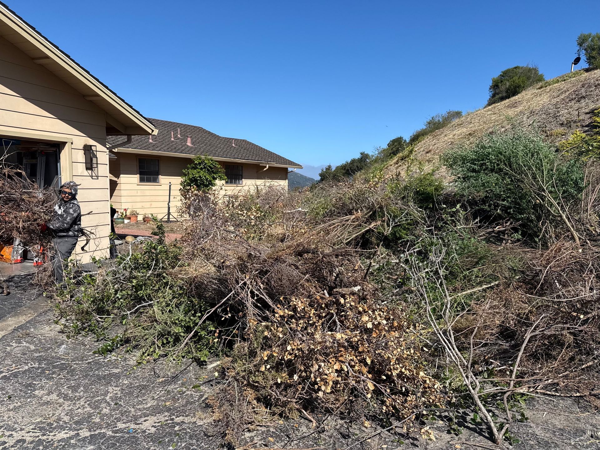 Large pile of yard debris beside a tan house under a clear blue sky