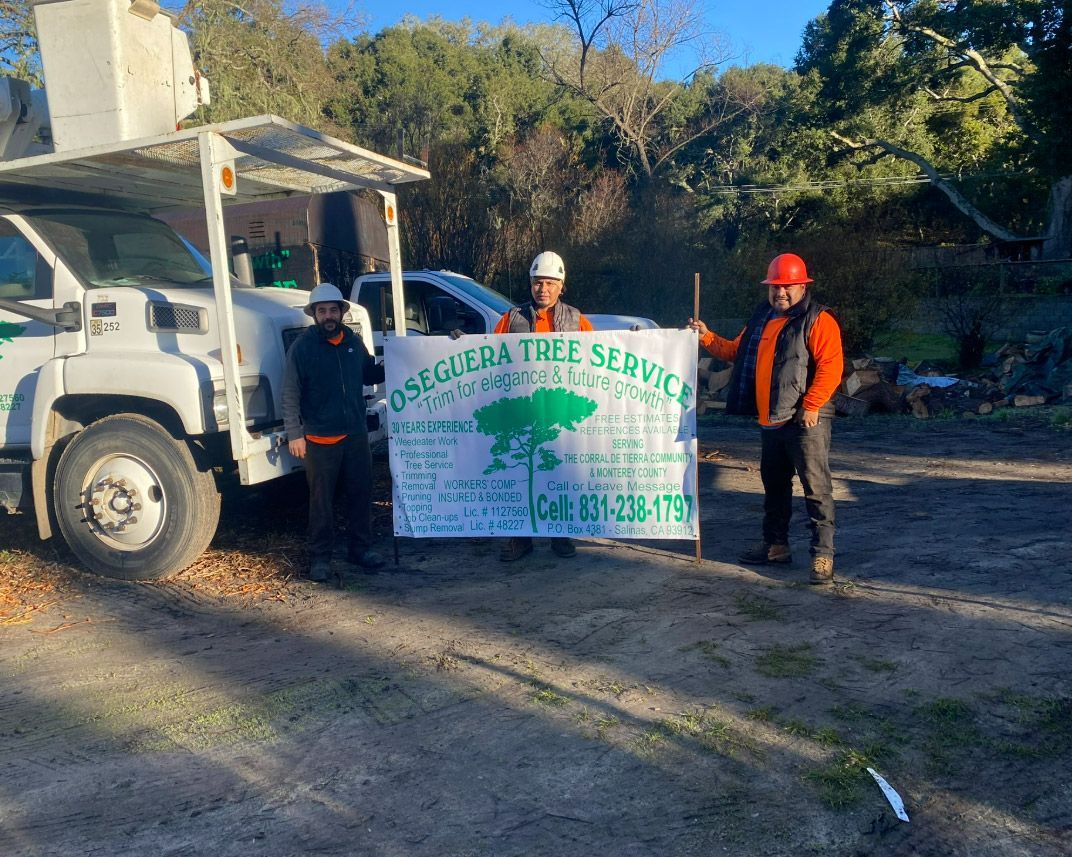 Three tree service workers pose with a banner next to their truck, trees in the background.