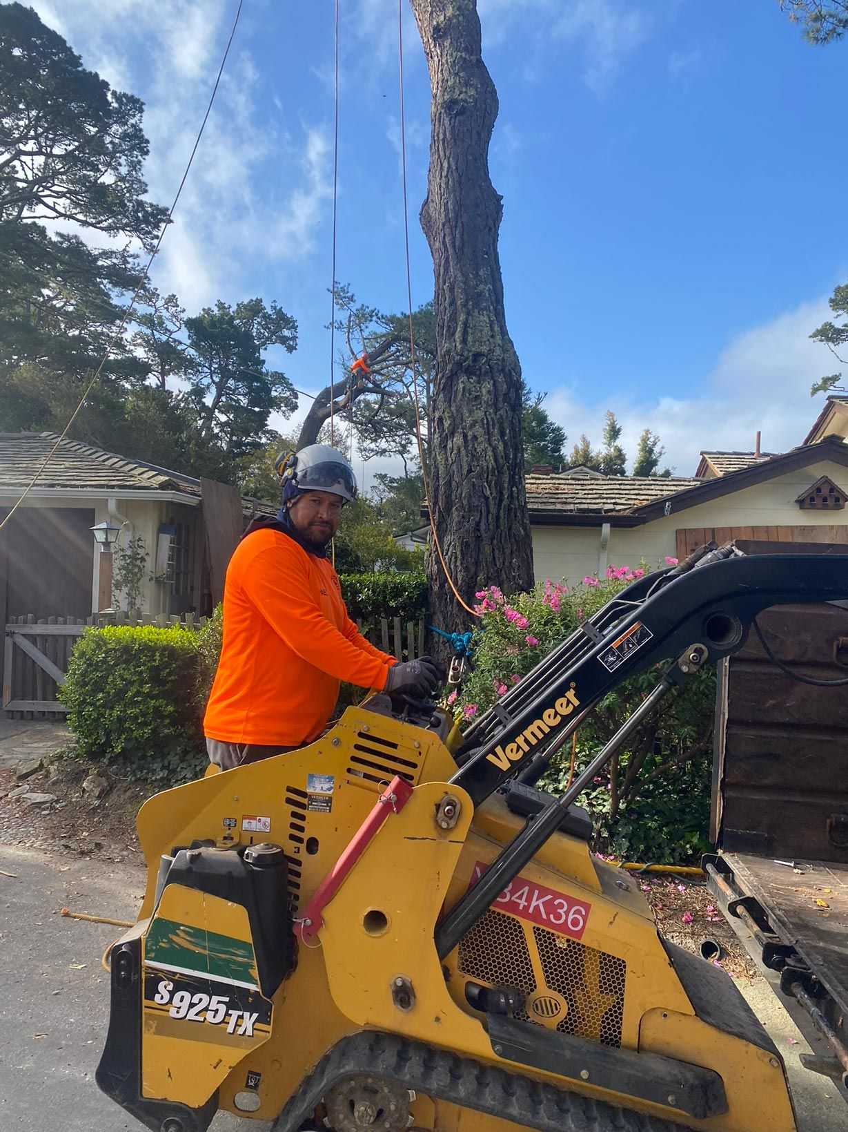 Man in orange shirt operating a yellow Vermeer SG29TX skid steer near a tree on a sunny day.