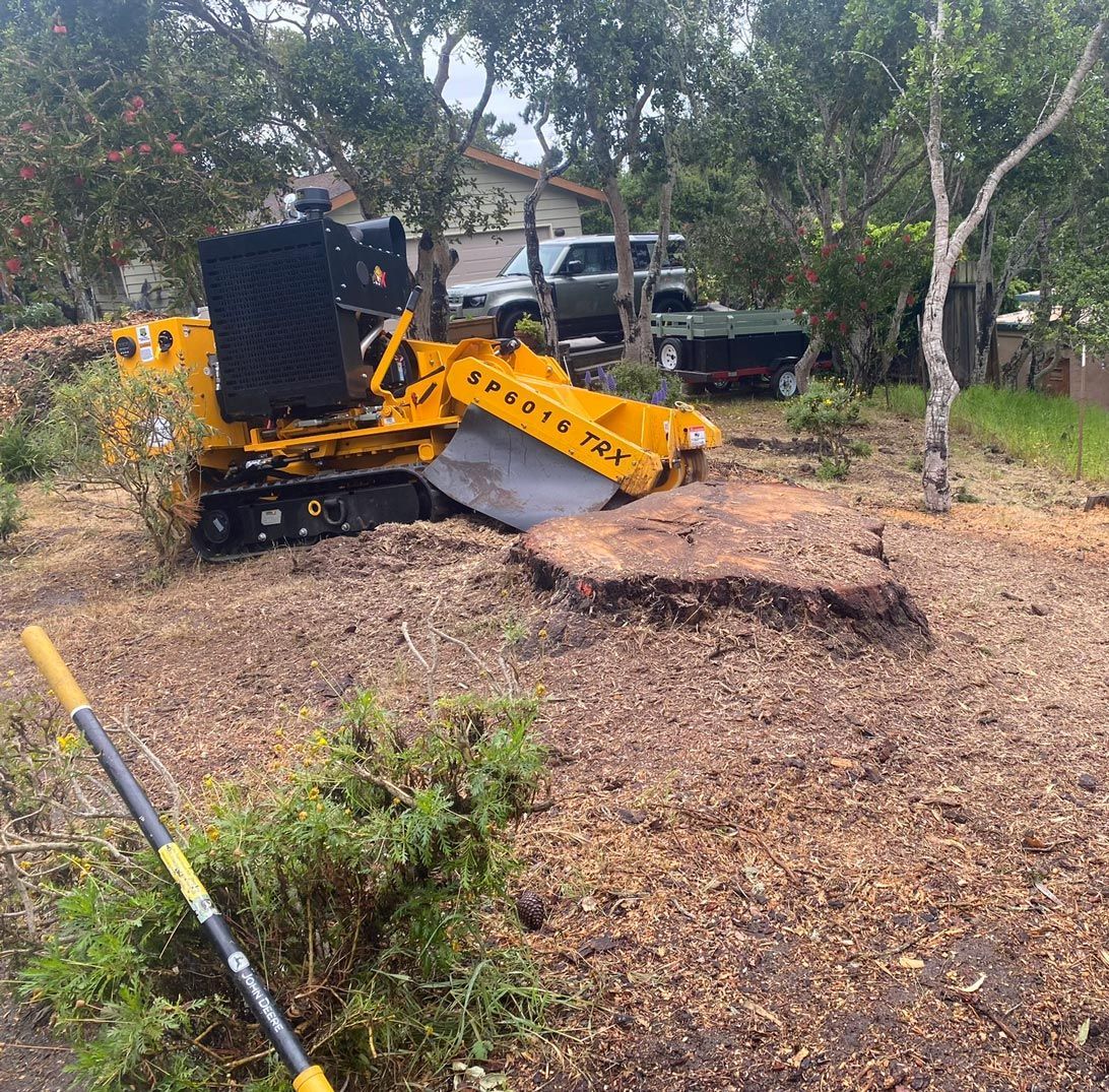 A yellow stump grinder working on a tree stump in a yard.