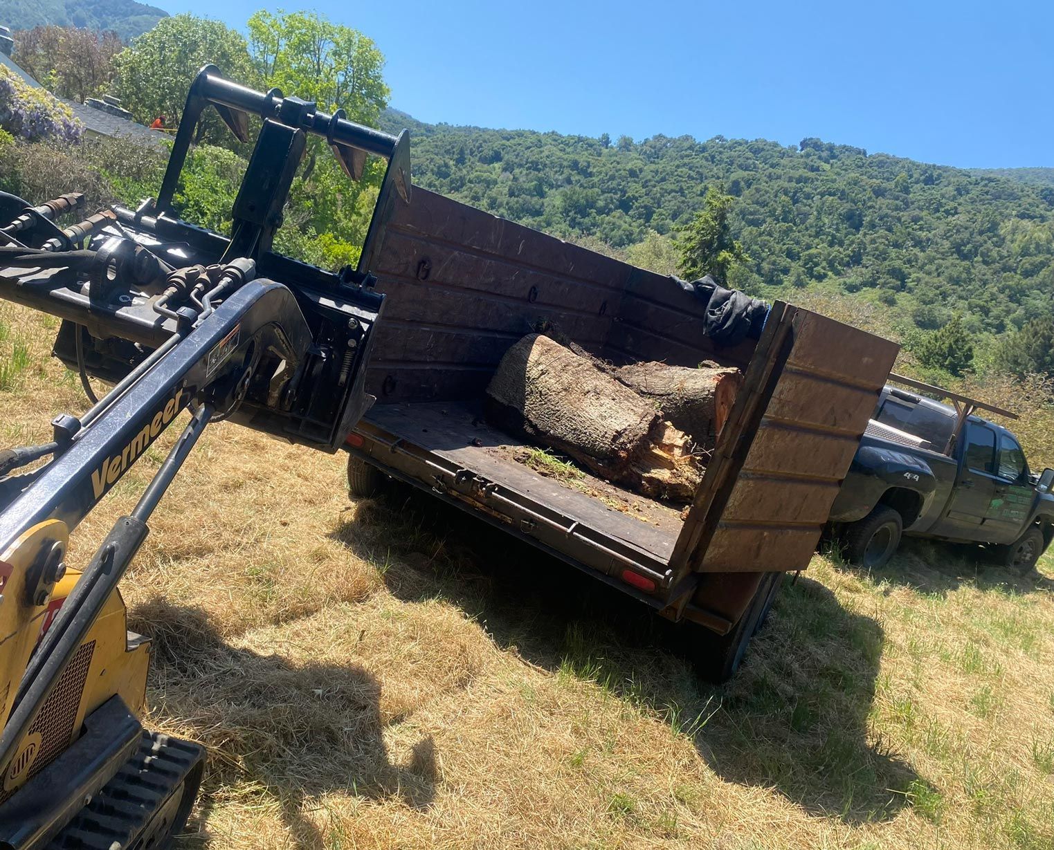 Skid steer loading logs into a truck bed on a hillside with a vehicle in the background.