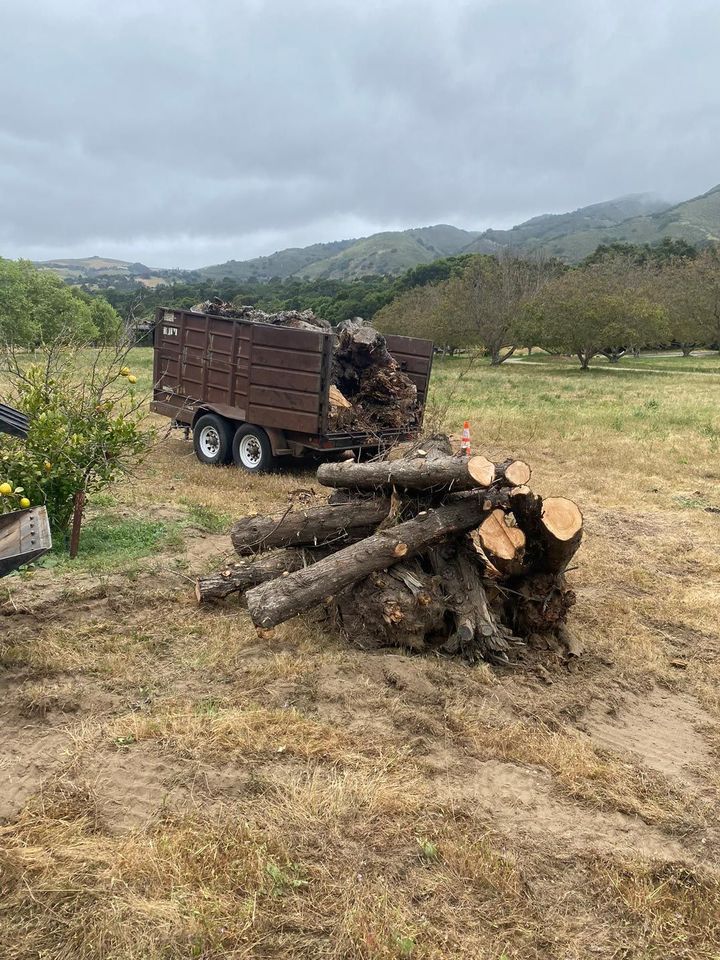 A trailer filled with logs is beside a pile of chopped wood on a field with a hilly backdrop.