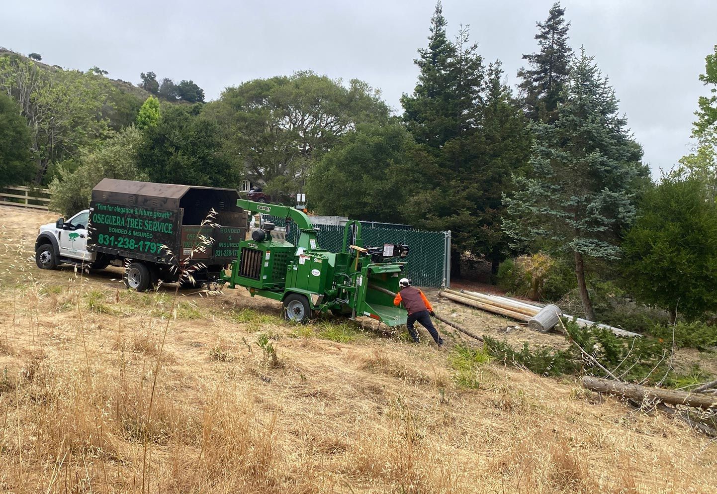 A man feeds a green wood chipper with tree branches. A truck is beside the chipper, on a hillside.