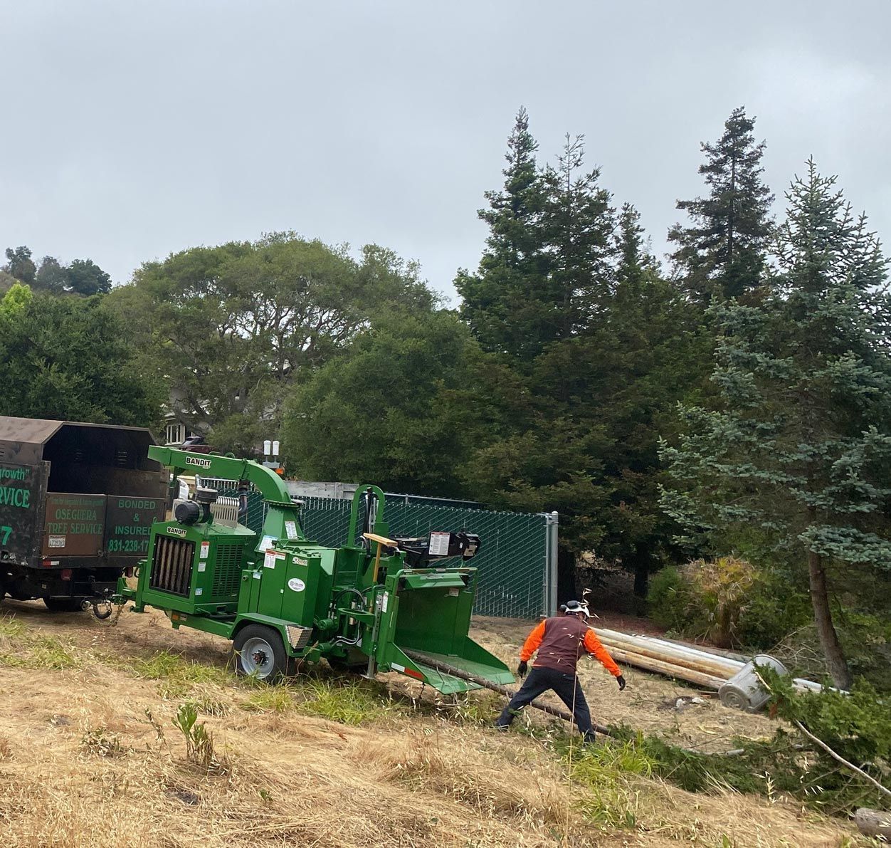Arborist chipping branches into truck on a hillside; trees and cloudy sky in the background.