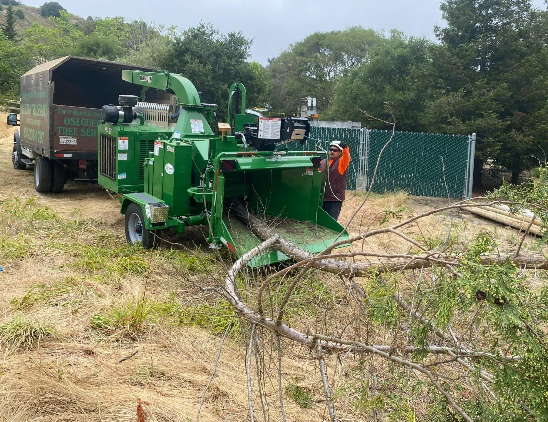 A green wood chipper is shredding branches, with a truck bed alongside to catch the debris. A worker in orange.