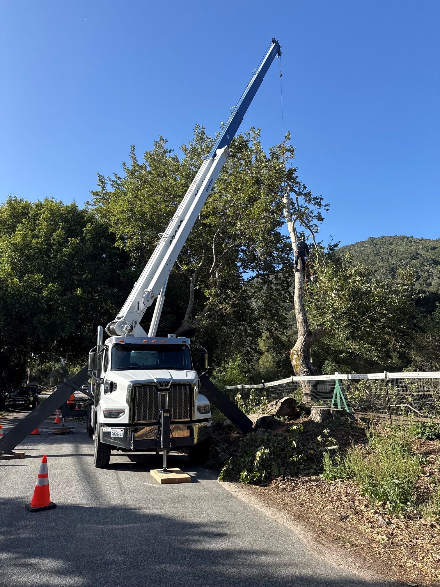 Crane truck on a roadside lifting a tree branch, with traffic cones and blue sky in the background