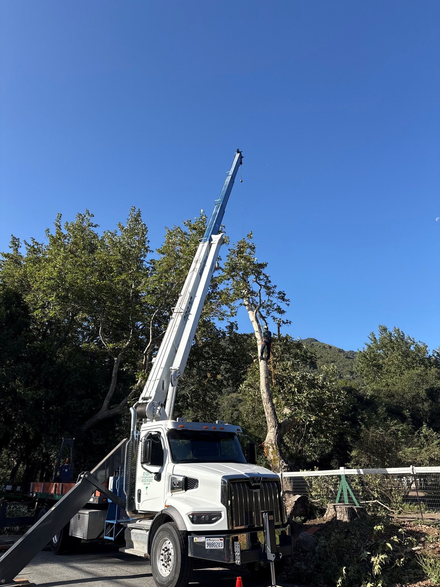 White utility truck with an extended boom lift parked beside trees under a clear blue sky.