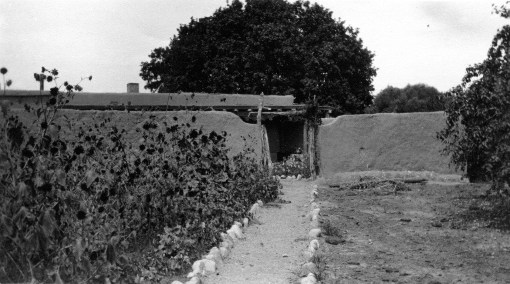 A path through the courtyard