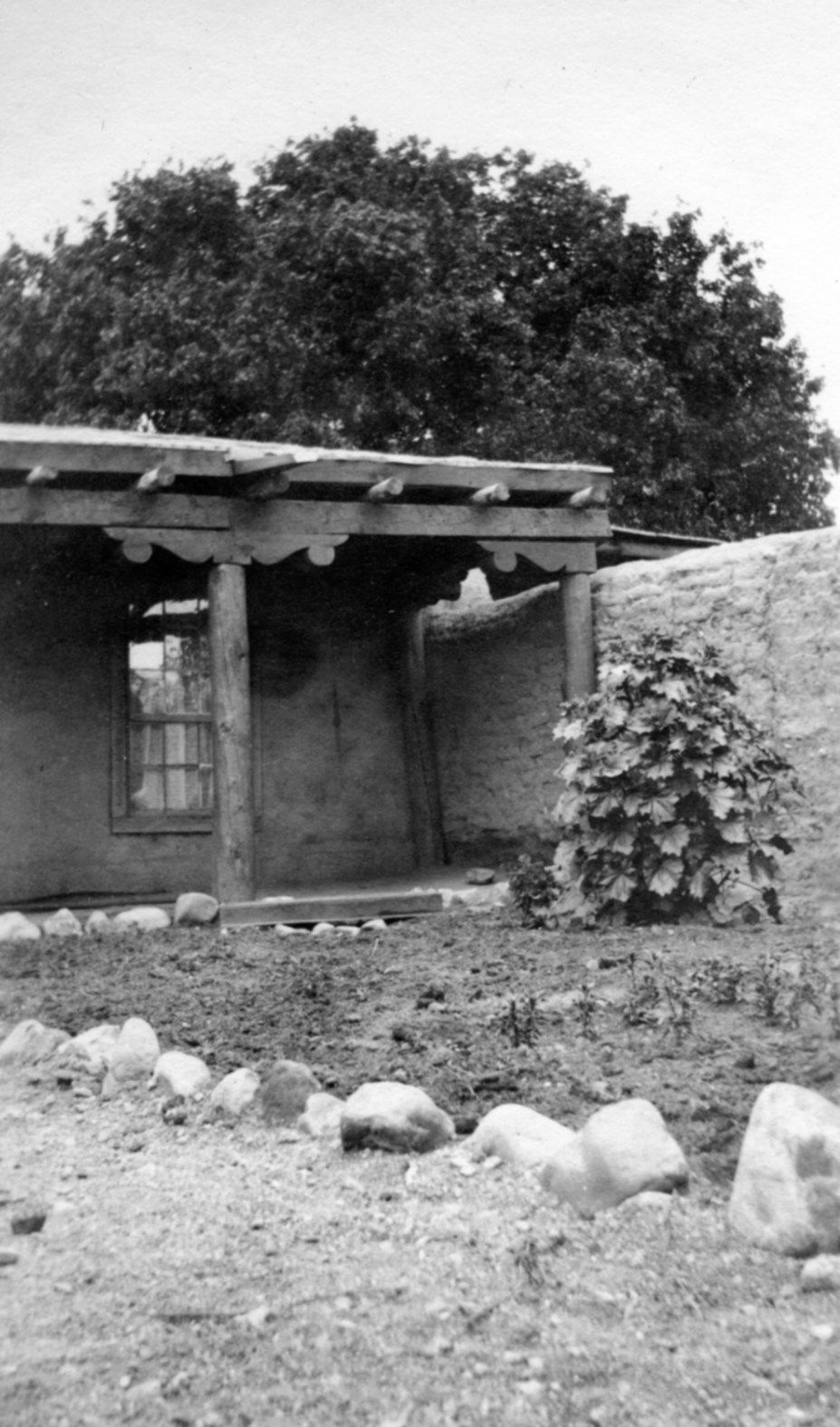 A corner of the garden