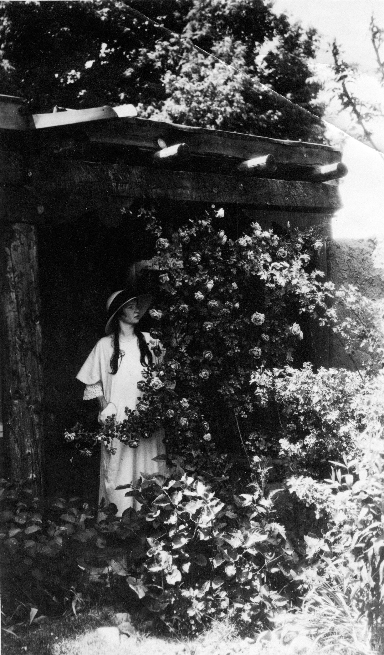A moment beneath the vines