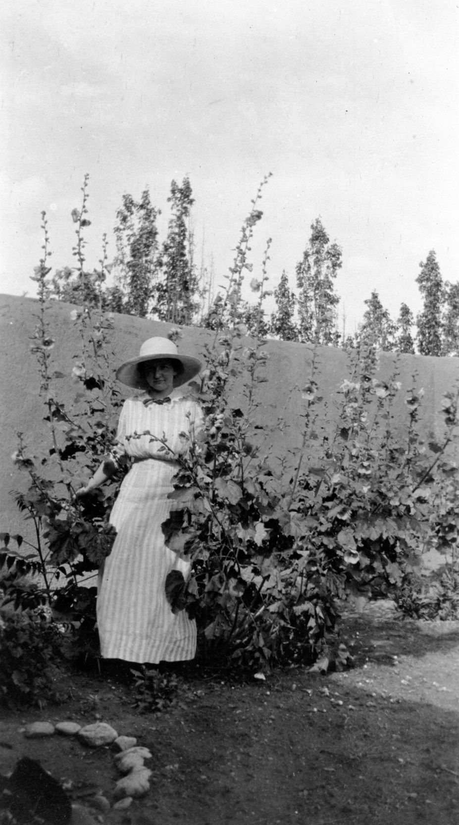 Among the garden flowers