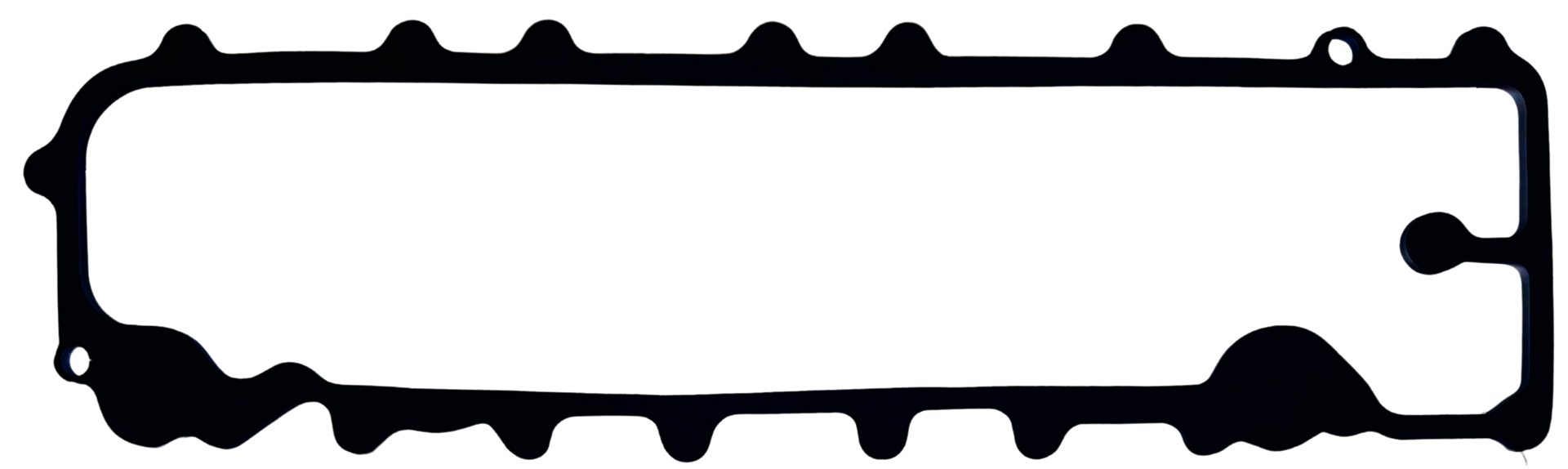 Custom Gasket - 1