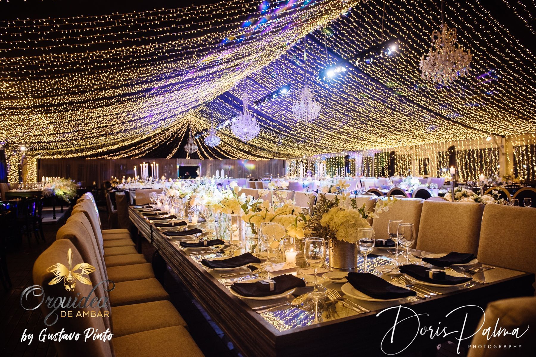 A long table with plates , glasses , and flowers under a ceiling of lights.